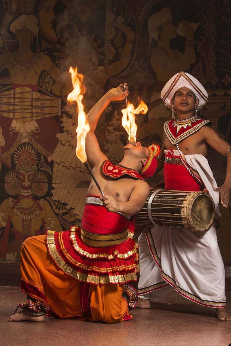 Traditional Cultural Dance Show